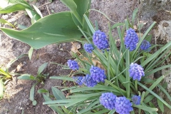 2019-04-22 Sochowa Zagroda - Wielkanoc (30)