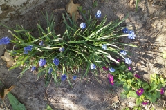2019-04-22 Sochowa Zagroda - Wielkanoc (31)