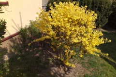 2019-04-22 Sochowa Zagroda - Wielkanoc (33)