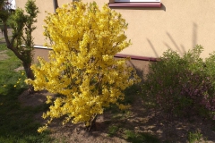 2019-04-22 Sochowa Zagroda - Wielkanoc (34)