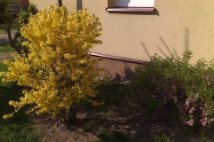 2019-04-22 Sochowa Zagroda - Wielkanoc (35)