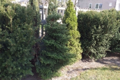 2019-04-22 Sochowa Zagroda - Wielkanoc (37)