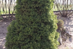 2019-04-22 Sochowa Zagroda - Wielkanoc (39)