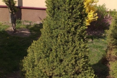 2019-04-22 Sochowa Zagroda - Wielkanoc (40)