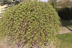 2019-04-22 Sochowa Zagroda - Wielkanoc (41)