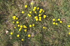 2019-04-22 Sochowa Zagroda - Wielkanoc (43)