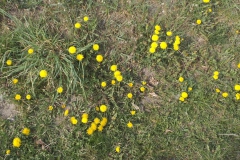 2019-04-22 Sochowa Zagroda - Wielkanoc (44)