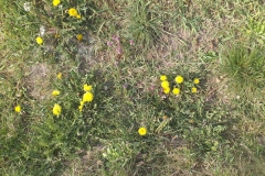 2019-04-22 Sochowa Zagroda - Wielkanoc (45)