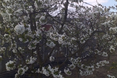 2019-04-22 Sochowa Zagroda - Wielkanoc (47)