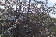 2019-04-22 Sochowa Zagroda - Wielkanoc (48)