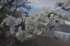 2019-04-22 Sochowa Zagroda - Wielkanoc (49)