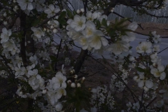 2019-04-22 Sochowa Zagroda - Wielkanoc (50)