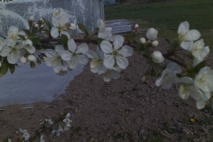 2019-04-22 Sochowa Zagroda - Wielkanoc (51)