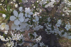 2019-04-22 Sochowa Zagroda - Wielkanoc (52)