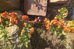 2019-04-22 Sochowa Zagroda - Wielkanoc (55)