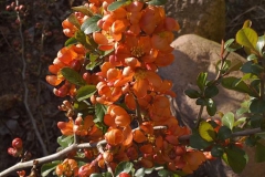 2019-04-22 Sochowa Zagroda - Wielkanoc (58)