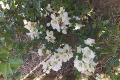 2019-04-22 Sochowa Zagroda - Wielkanoc (59)