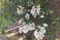 2019-04-22 Sochowa Zagroda - Wielkanoc (60)