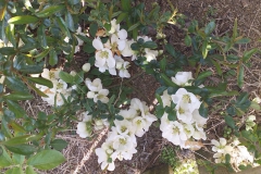2019-04-22 Sochowa Zagroda - Wielkanoc (61)