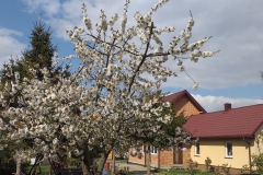 2019-04-22 Sochowa Zagroda - Wielkanoc (8)