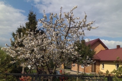2019-04-22 Sochowa Zagroda - Wielkanoc (9)