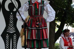 2019-06-08 Maciejowice (47)
