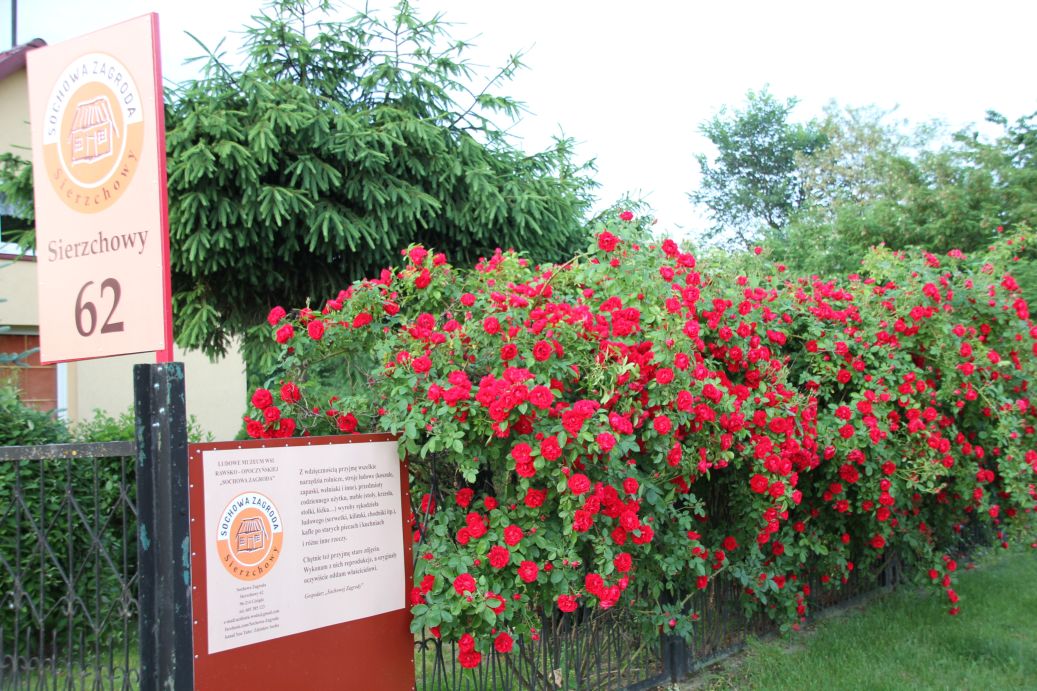 2019-06-08 Sochowa Zagroda (28)