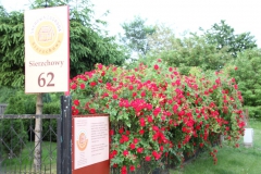 2019-06-08 Sochowa Zagroda (27)