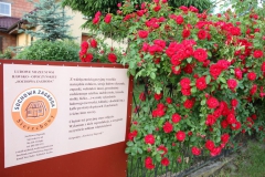 2019-06-08 Sochowa Zagroda (42)