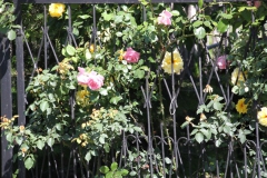 2019-06-08 Sochowa Zagroda (76)