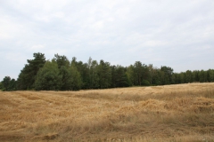 2019-07-28 Gustawów (1)