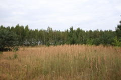 2019-07-28 Gustawów (10)