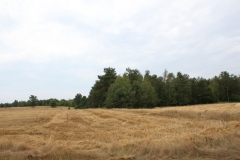 2019-07-28 Gustawów (2)