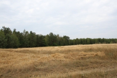 2019-07-28 Gustawów (3)