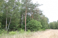 2019-07-28 Gustawów (4)