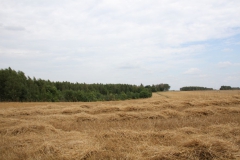 2019-07-28 Gustawów (5)