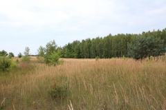 2019-07-28 Gustawów (6)
