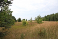 2019-07-28 Gustawów (8)