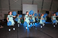 2020-02-15 Rzeczyca (39)