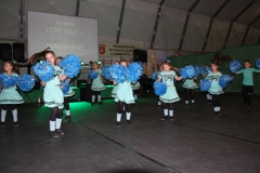 2020-02-15 Rzeczyca (40)