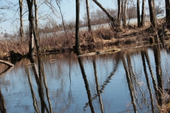 2020-03-15 Sierzchowy (23)