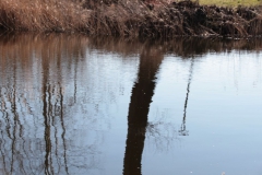 2020-03-15 Sierzchowy (24)