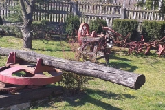 2020-03-25 Sochowa Zagroda (22)