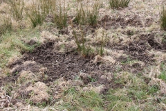 2020-03-29 Sochowa Zagroda (34)