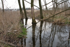 2020-03-29 Sochowa Zagroda (38)