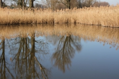 2020-04-05 Sochowa Zagroda (30)