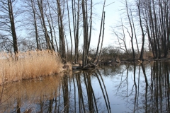 2020-04-05 Sochowa Zagroda (32)