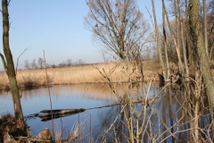 2020-04-05 Sochowa Zagroda (39)