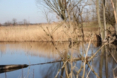 2020-04-05 Sochowa Zagroda (40)