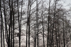 2020-04-12 Sochowa Zagroda - wielkanoc (24)